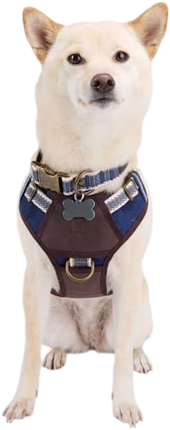Denim Dog Harness by Reddy